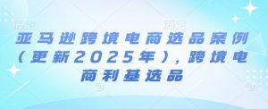 亚马逊跨境电商选品案例(更新2025年3月),跨境电商利基选品-游客之家