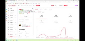 2025小红书虚拟电商实战课-游客之家