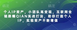 个人IP资产，小团队高变现，互联网全链路赚QIAN实战打法，助你打造个人IP，实现资产不断增值-游客之家