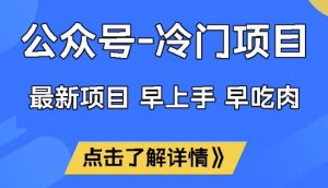 公众号冷门赛道，早上手早吃肉，单月轻松稳定变现1W【揭秘】-游客之家