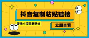 零撸小项目，新玩法，抖音复制链接0.07一条，20秒一条，无限制。-游客之家