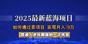 2025蓝海项目，普通人如何通过卖项目，实现月入过W，全过程【揭秘】-游客之家