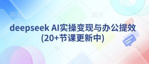 deepseek AI实操变现与办公提效(20+节课更新中)-游客之家