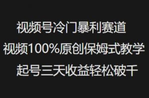 视频号冷门暴利赛道视频100%原创保姆式教学起号三天收益轻松破千-游客之家