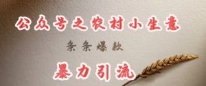 deepseek写农村小项目，条条爆款，暴力引流-游客之家