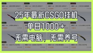 25年最新CSGO挂机系统，单日1000+，无需电脑，无需养号，0基础可上手-游客之家
