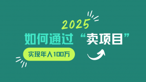 2025年如何通过“卖项目”实现年入100w-游客之家