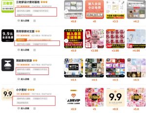 0成本虚拟项目实战手把手教你落地，单店月入5k-游客之家