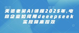天诺老吴AI课程2025年，电商企业如何用deeepseek实现降本提效-游客之家