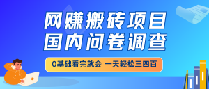 网赚搬砖项目,国内问卷调查,0基础看完就会 一天轻松三四百,靠谱副业...-游客之家