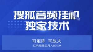 【搜狐音频挂G】独家技术,可矩阵可放大,红利期稳定月入8k【揭秘】-游客之家
