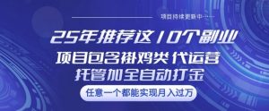25年推荐这10个副业项目包含褂鸡类、代运营托管类、全自动打金类【揭秘】-游客之家