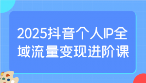 2025抖音个人IP全域流量变现进阶课：选爆品、抖音付费投流、千川投流实操及优化等-游客之家