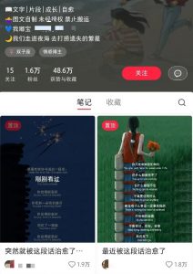 小红书治愈文案图文笔记，零门槛，一分钟制作轻松制作爆款作品月入万元-游客之家