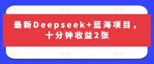 最新Deepseek+蓝海项目，十分钟收益2张-游客之家