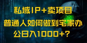 私域IP+卖项目，普通人如何做到宅家办公实现日入1000+-游客之家