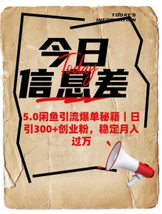 5.0闲鱼引流爆单秘籍，日引300+创业粉，稳定月入过W-游客之家