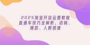 2025淘宝开店运营教程更新，直通车技巧全解析，动销、爆款、人群搭建-游客之家