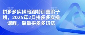 拼多多实操陪跑特训营弟子班，2025年2月拼多多实操课程，海量拼多多玩法-游客之家