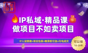 2025年“IP私域·密训精品课”，日赚3000+小白避坑年赚百万，暴力引流...-游客之家