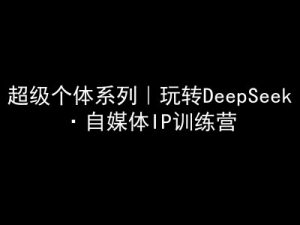超级个体系列，玩转DeepSeek·自媒体IP训练营，deepseek教程-游客之家