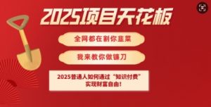 2025项目天花板普通人如何通过知识付费，实现财F自由【揭秘】-游客之家