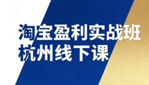 淘宝盈利实战班杭州线下课12月26-28日(音频+字幕)，帮你掌握SOP流程+12门核心技术-游客之家