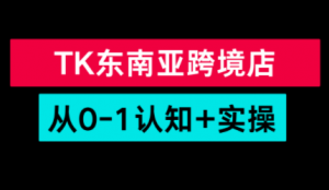 TikTok东南亚跨境从0-1认知实操课-游客之家