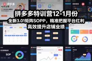 拼多多特训营12-1月份，全新3.01矩阵Sop，精准把握平台红利，高效提升店铺业绩-游客之家