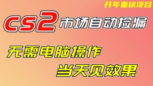 CS2市场挂机项，无需电脑操作，无需进入游戏，当天见效果，支持任何形式验证-游客之家