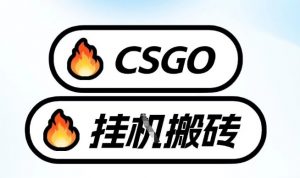 真全网独家CSGO挂G，最新玩法,单日捡漏1K+，不用电脑，不用打游戏【揭秘】-游客之家