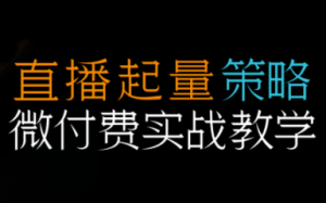 半野老师·直播带货起量与微付费必学课视频号(更新2026)-游客之家