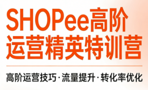 梦凡老师·Shopee虾皮高阶运营课程-游客之家