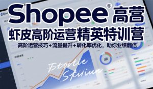 Shopee虾皮高阶运营精英特训营，高阶运营技巧+流量提升+转化率优化，助你业绩翻倍-游客之家