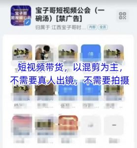 宝子哥头部团队短视频带货，以混剪为主，不需要真人出镜，不需要拍摄【更新26年1月】-游客之家