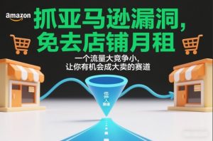 抓亚马逊漏洞，免去店铺月租，一个流量大竞争小，让你有机会成大卖的赛道-游客之家
