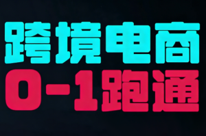 东南亚TikTok小店运营实操-游客之家