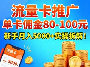 流量卡推广，单卡佣金80-100，新手月入5k+实操拆解！-游客之家