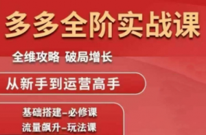大炮·拼多多全阶实战课程(更新2026)-游客之家