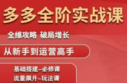 大炮·拼多多全阶实战课程(更新2026)-游客之家