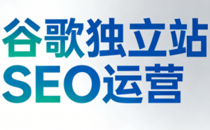 谷歌独立站SEO运营(更新2026)-游客之家