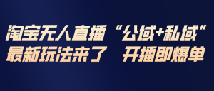 淘宝无人直播最新玩法，包含私域和公域两种玩法-游客之家