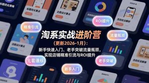 淘系实战进阶营(更新2026-1月-游客之家