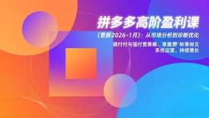 拼多多高阶盈利课(更新2026-1月-游客之家