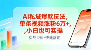 AI私域爆款玩法，单条视频涨粉6W+，小白也可实操-游客之家