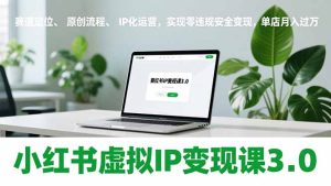 小红书虚拟IP变现课3.0，赛道定位、原创流程、IP化运营，实现零违规安全变现，单店月入过万-游客之家