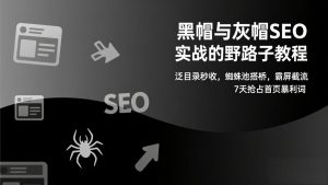 黑帽与灰帽SEO实战的野路子教程：泛目录秒收，蜘蛛池搭桥，霸屏截流，7天抢占首页暴利词-游客之家