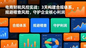 电商财税风控实战：3天构建合规体系，规避稽查风险，守护企业核心利润-游客之家