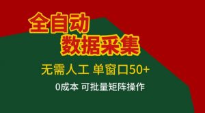 全自动数据采集，无需人工，单窗口50+，0成本可批量矩阵操作【揭秘】-游客之家