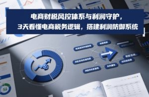 电商财税风控体系与利润守护，3天看懂电商税务逻辑，搭建利润防御系统-游客之家